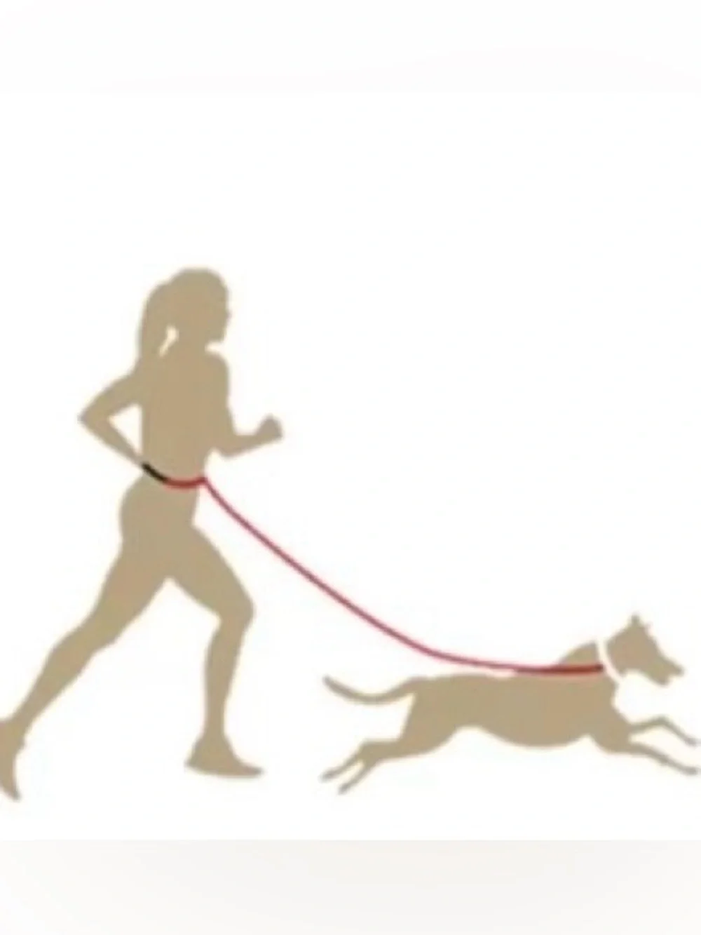New Heavy Duty Dog Leash with Padded Handle